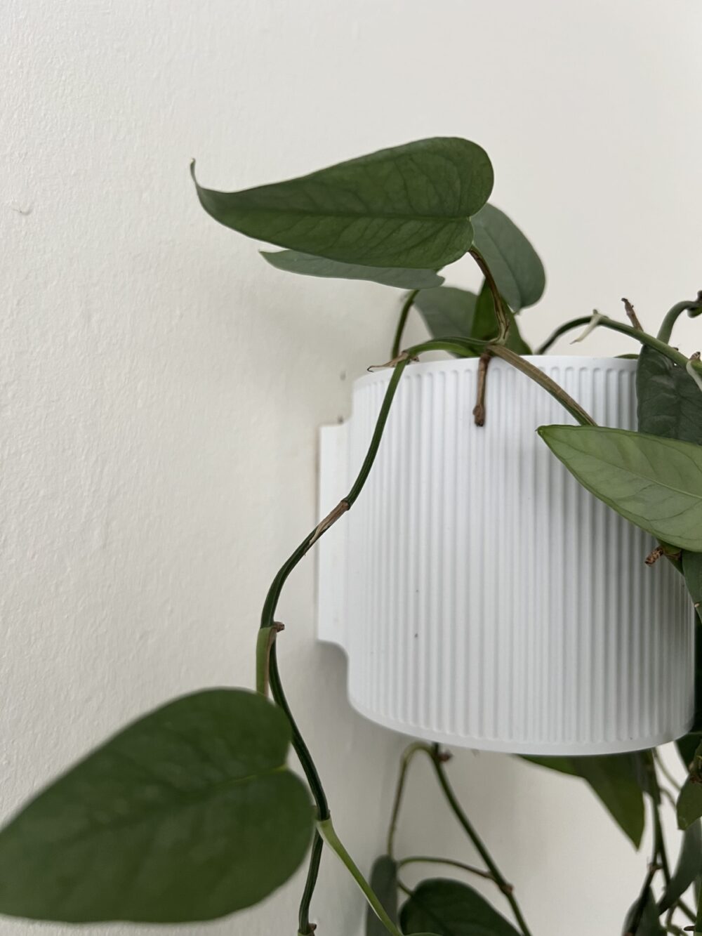 Abdeckung für Wandtopf – Bild 3