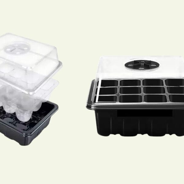 Propagator für 12 Pflanzen inklusive Anzuchtschale