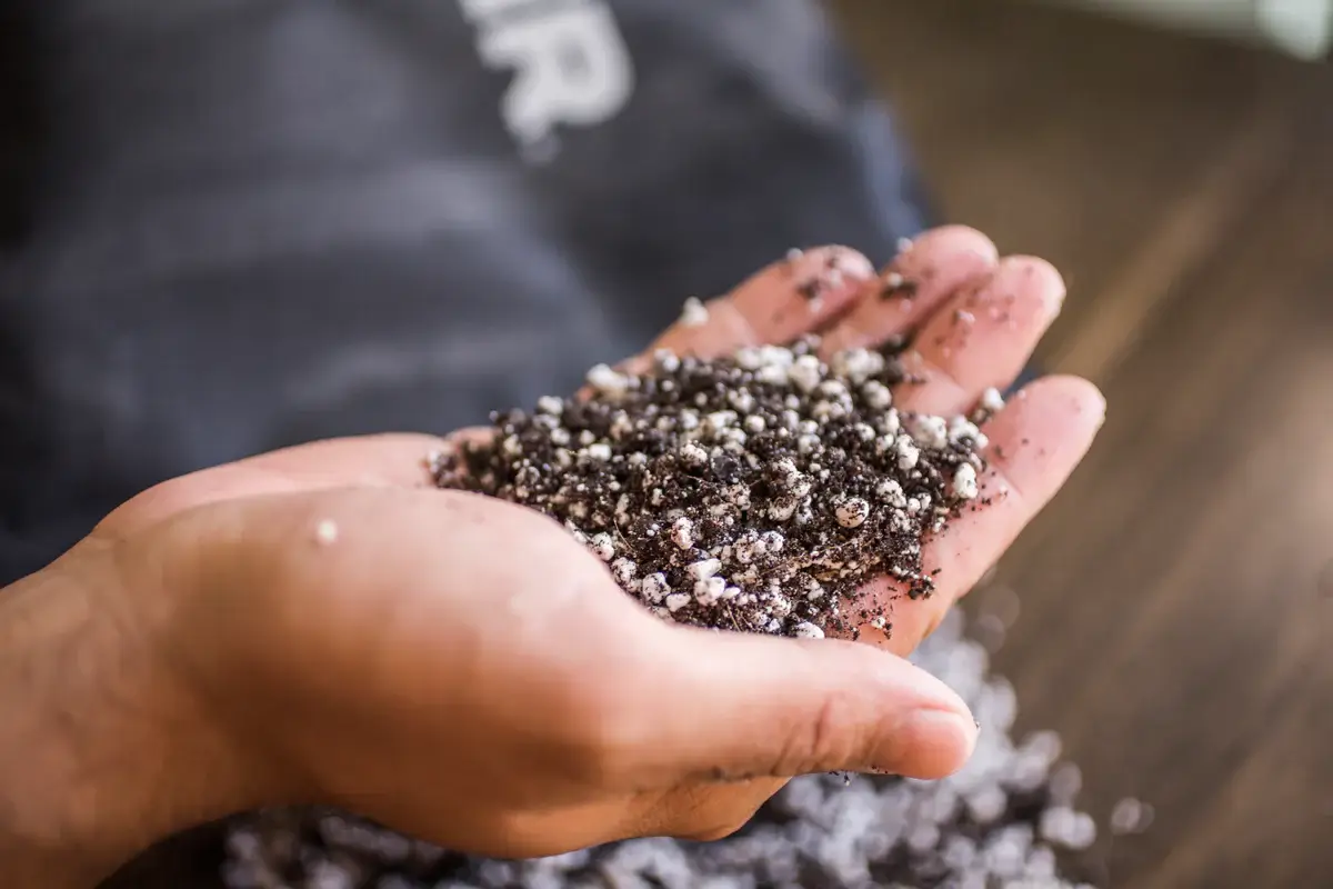 Feine Anzuchterde für Aussaat und Vermehrung – 8,5 l – Bild 2