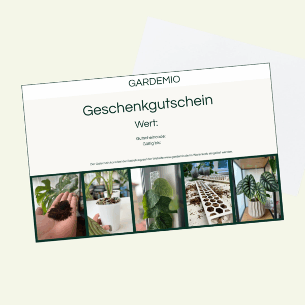 🎁 Geschenkgutschein