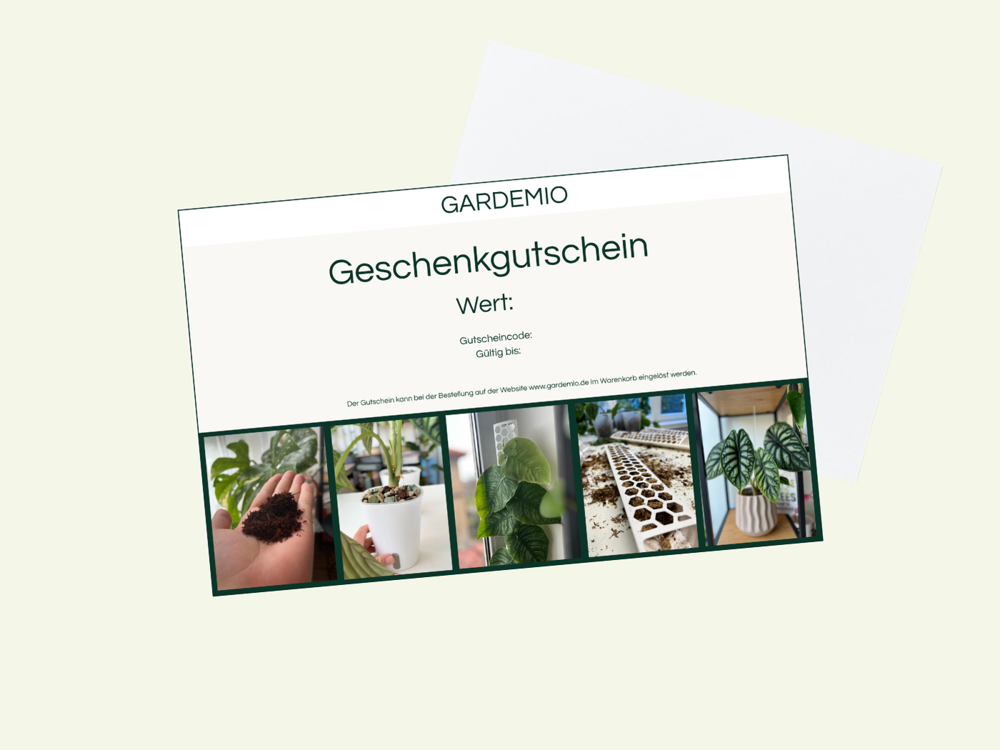 🎁 Geschenkgutschein