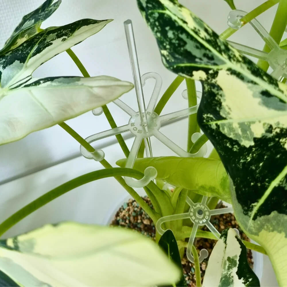 Stab für Blatthalter – Bild 2