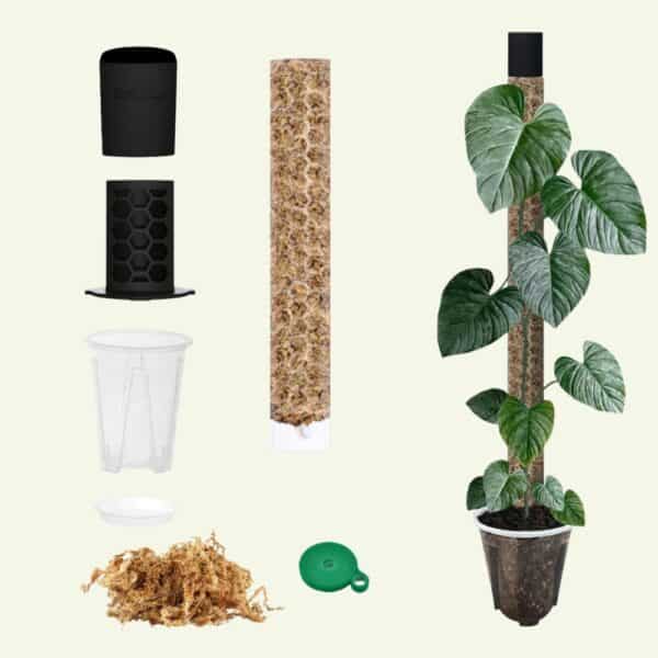 Komplettes Verankerungsset